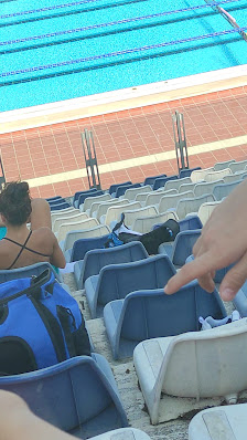 Stadio Olimpico del Nuoto thumb 9